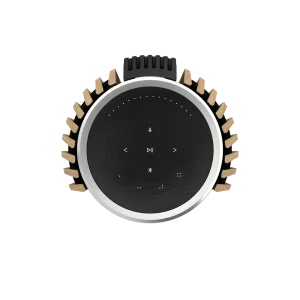 Beolab 28 - Bang & Olufsen