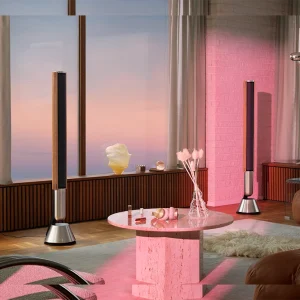 Beolab 28 - Bang & Olufsen