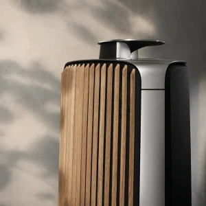 Beolab 50 - Bang & Olufsen